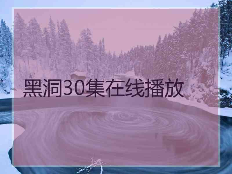 黑洞30集在线播放