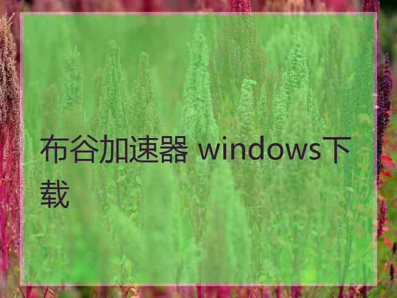 布谷加速器 windows下载