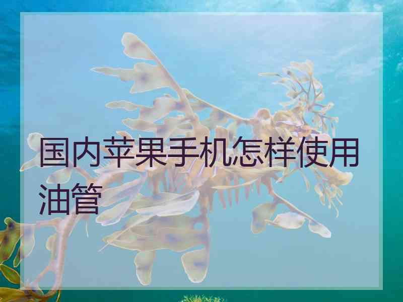 国内苹果手机怎样使用油管