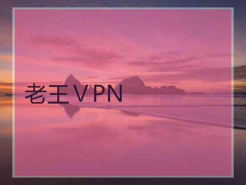 老王ⅤPN