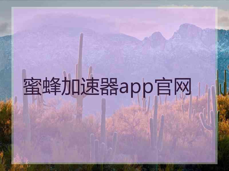 蜜蜂加速器app官网