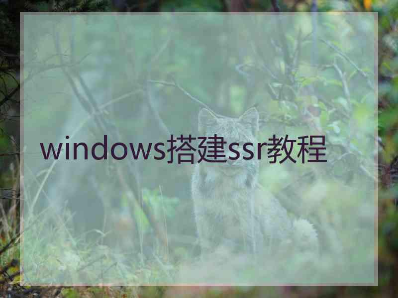 windows搭建ssr教程