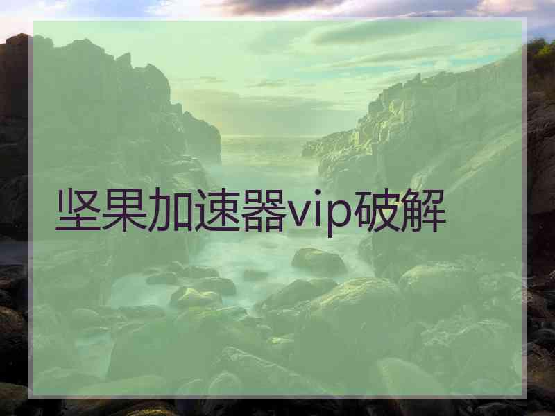 坚果加速器vip破解