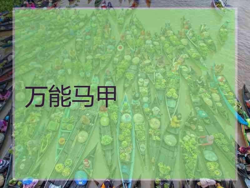 万能马甲