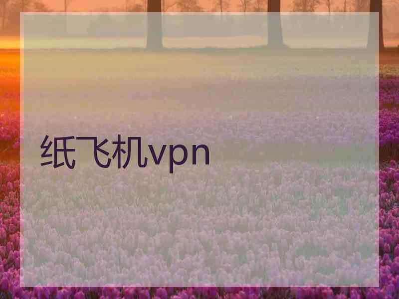 纸飞机vpn