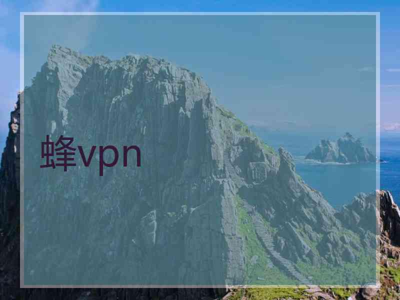 蜂vpn