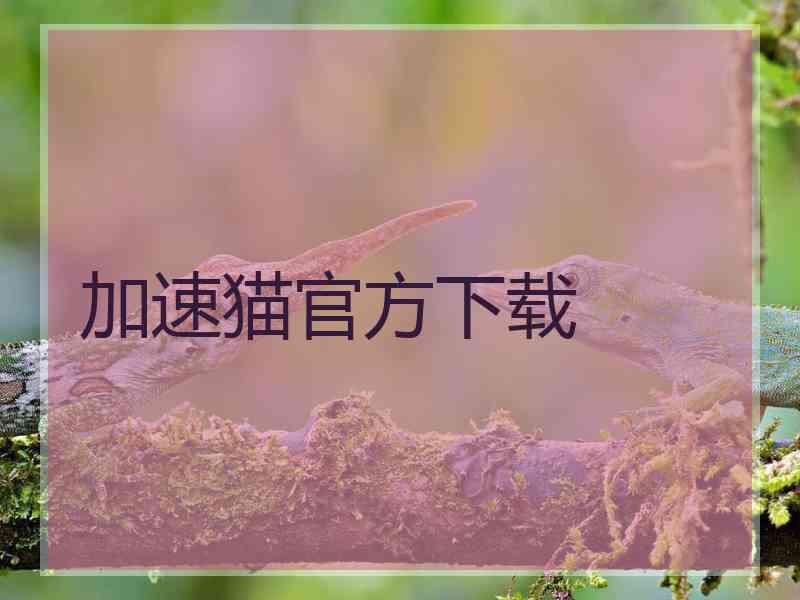 加速猫官方下载