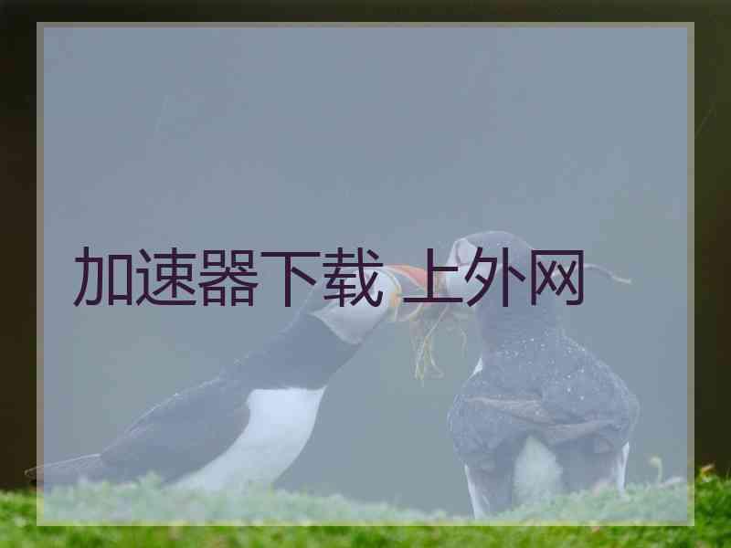 加速器下载 上外网