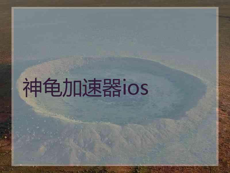 神龟加速器ios