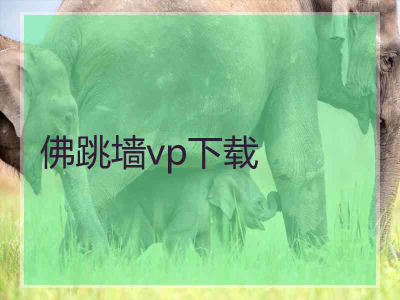 佛跳墙vp下载