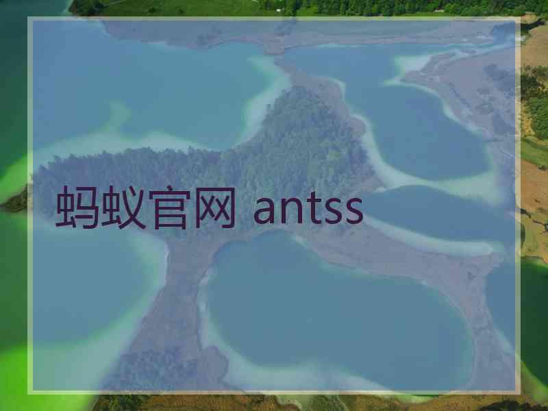 蚂蚁官网 antss