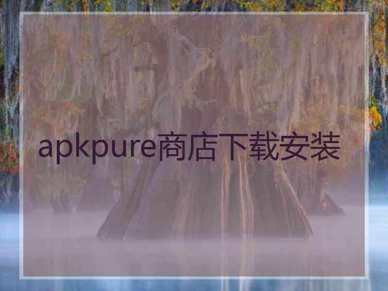 apkpure商店下载安装