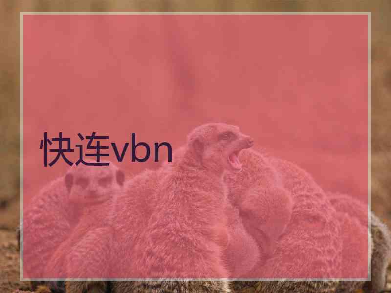 快连vbn