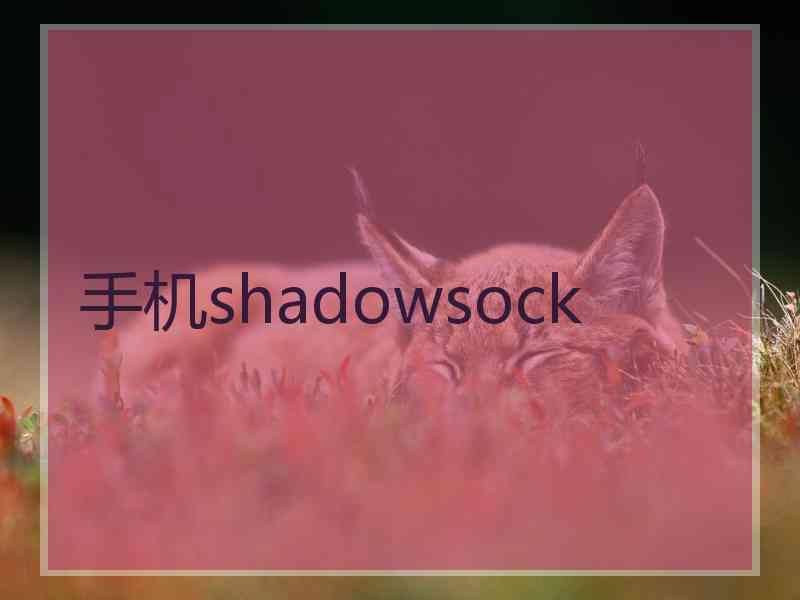 手机shadowsock