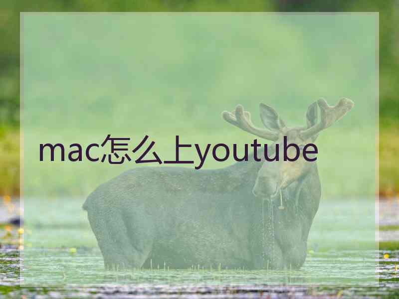 mac怎么上youtube