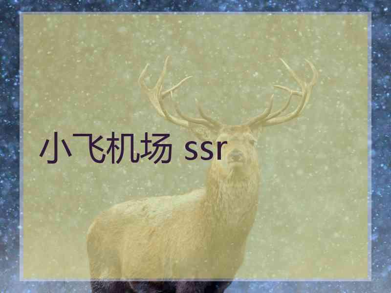 小飞机场 ssr