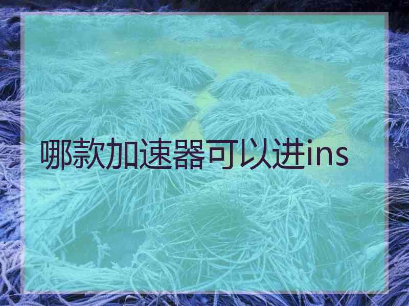 哪款加速器可以进ins