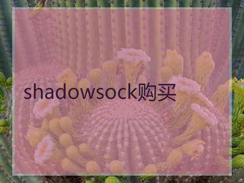 shadowsock购买