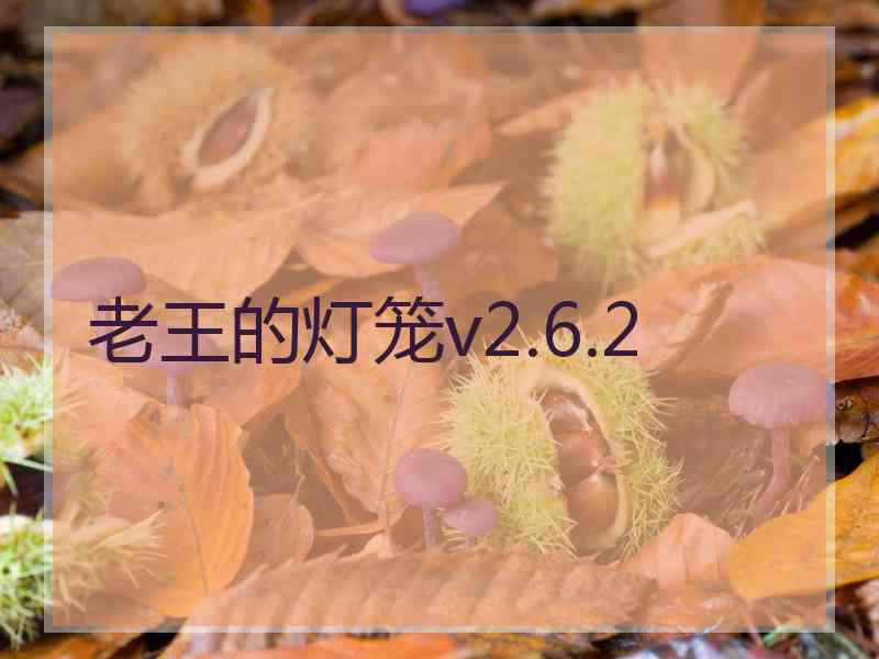 老王的灯笼v2.6.2