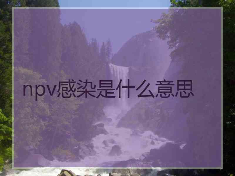 npv感染是什么意思