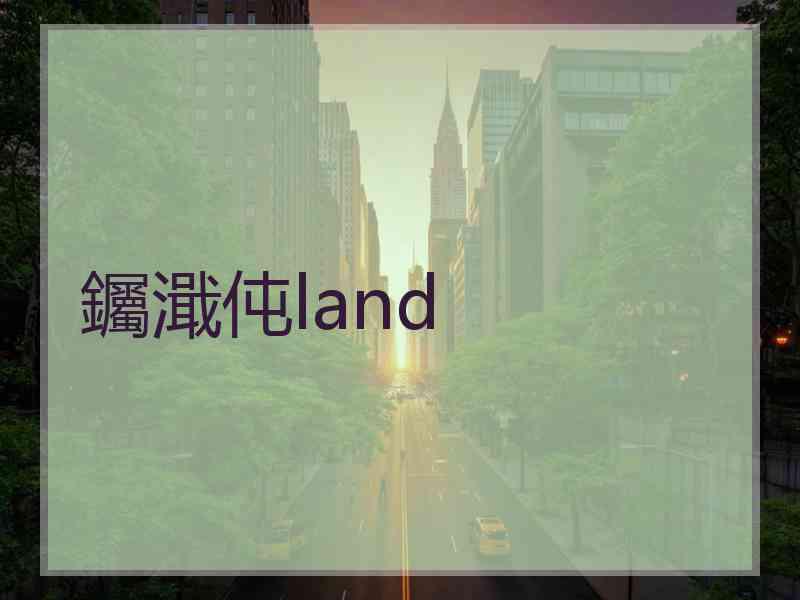 钃濈伅land