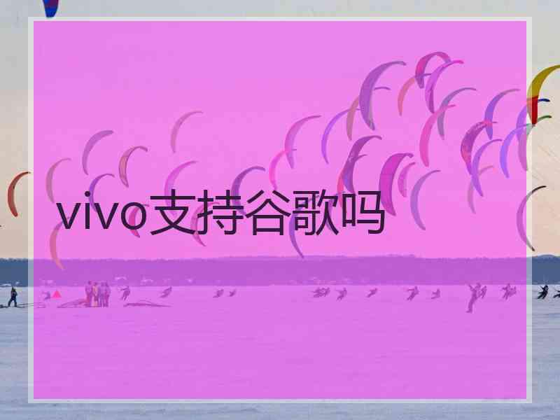 vivo支持谷歌吗