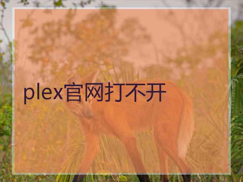 plex官网打不开