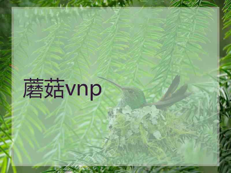 蘑菇vnp