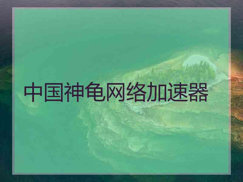 中国神龟网络加速器