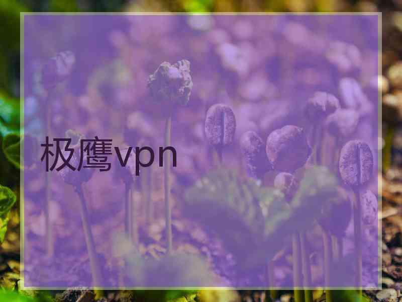 极鹰vpn