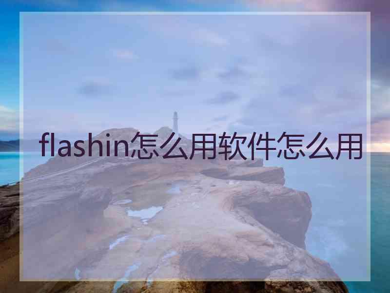 flashin怎么用软件怎么用