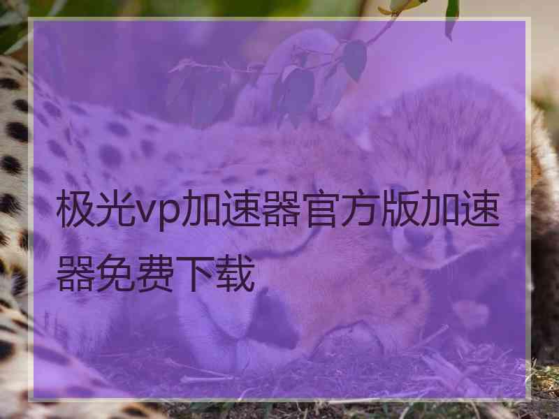 极光vp加速器官方版加速器免费下载