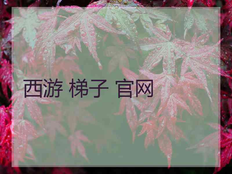 西游 梯子 官网