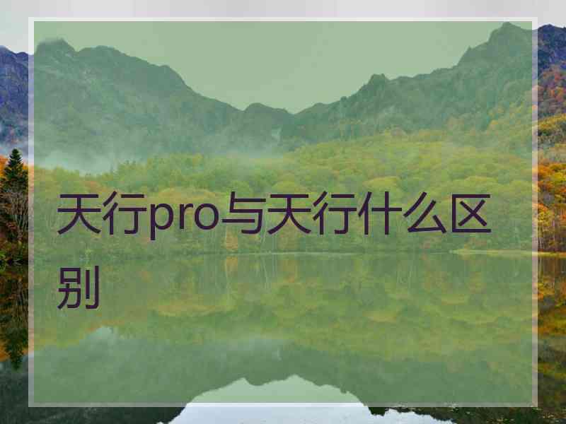 天行pro与天行什么区别