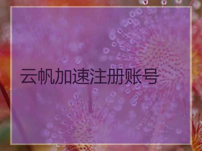 云帆加速注册账号