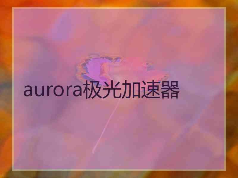 aurora极光加速器