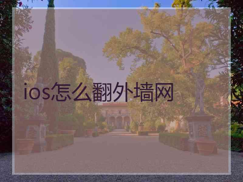 ios怎么翻外墙网