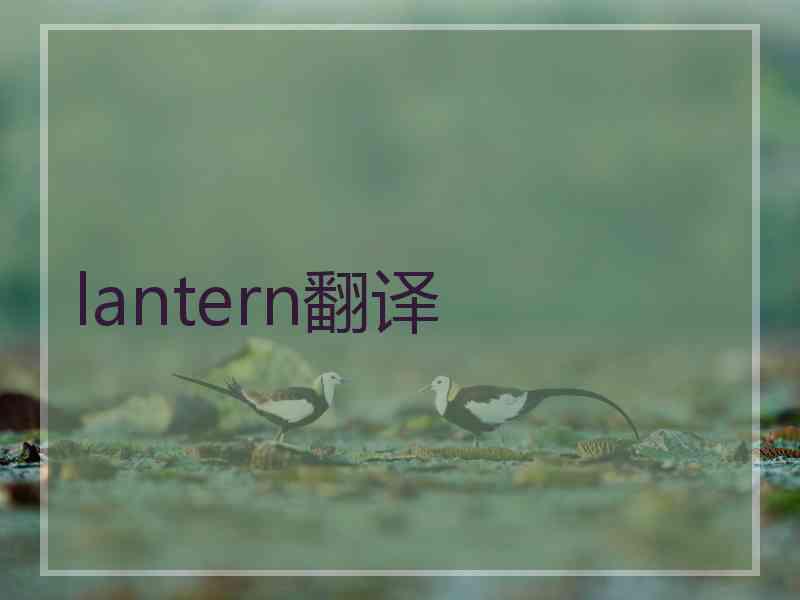 lantern翻译