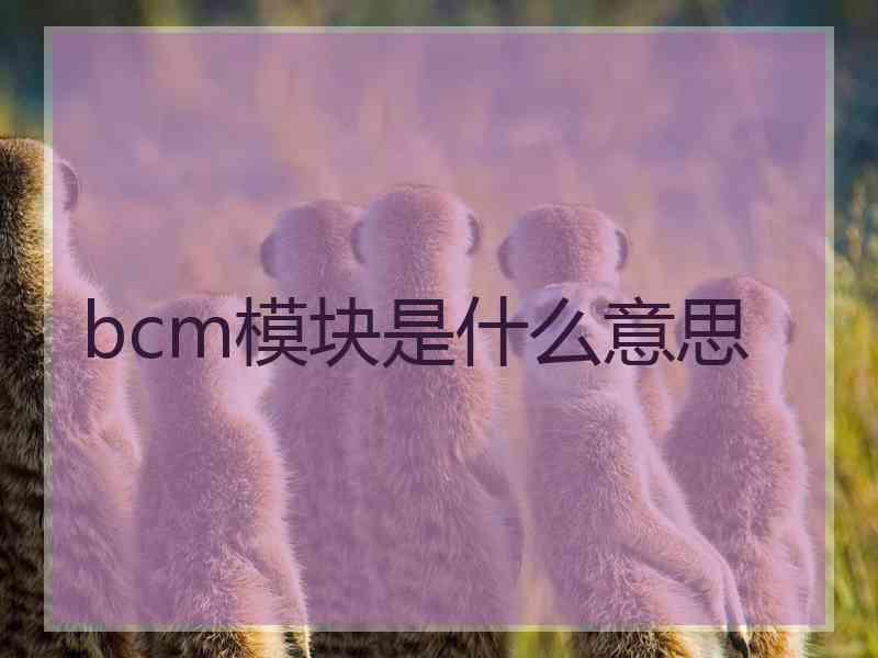 bcm模块是什么意思