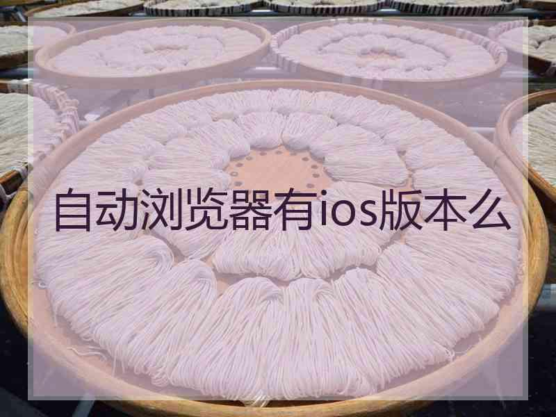 自动浏览器有ios版本么