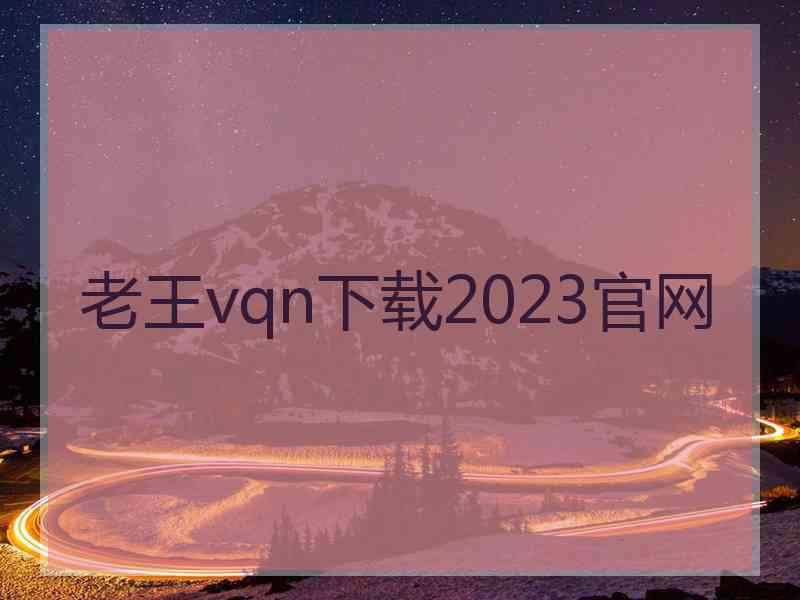 老王vqn下载2023官网