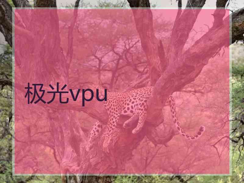 极光vpu