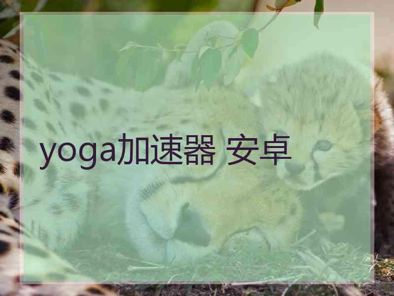 yoga加速器 安卓