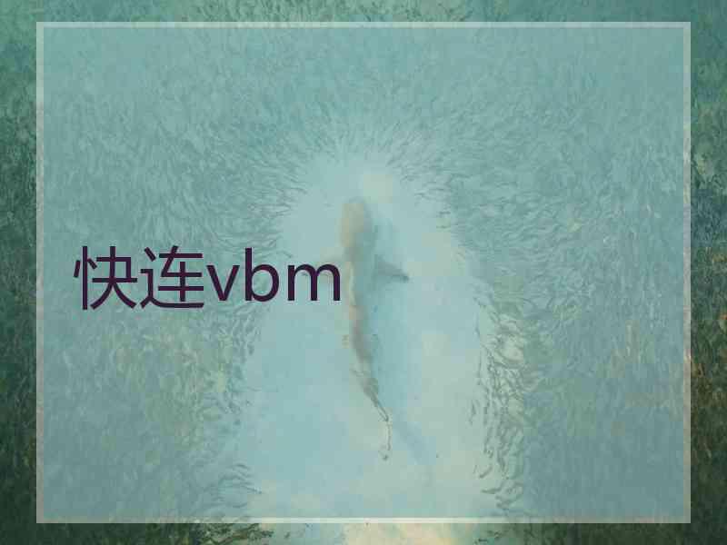 快连vbm