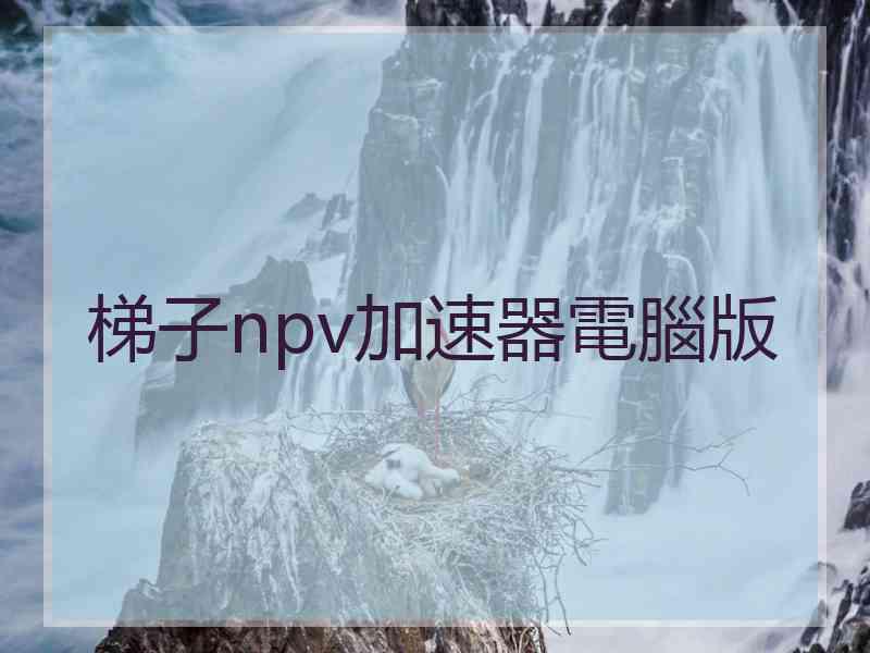 梯子npv加速器電腦版