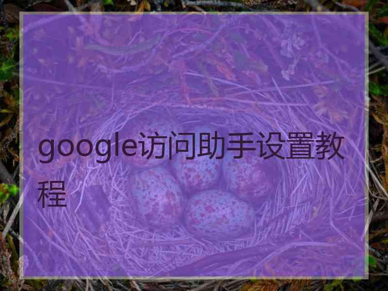 google访问助手设置教程