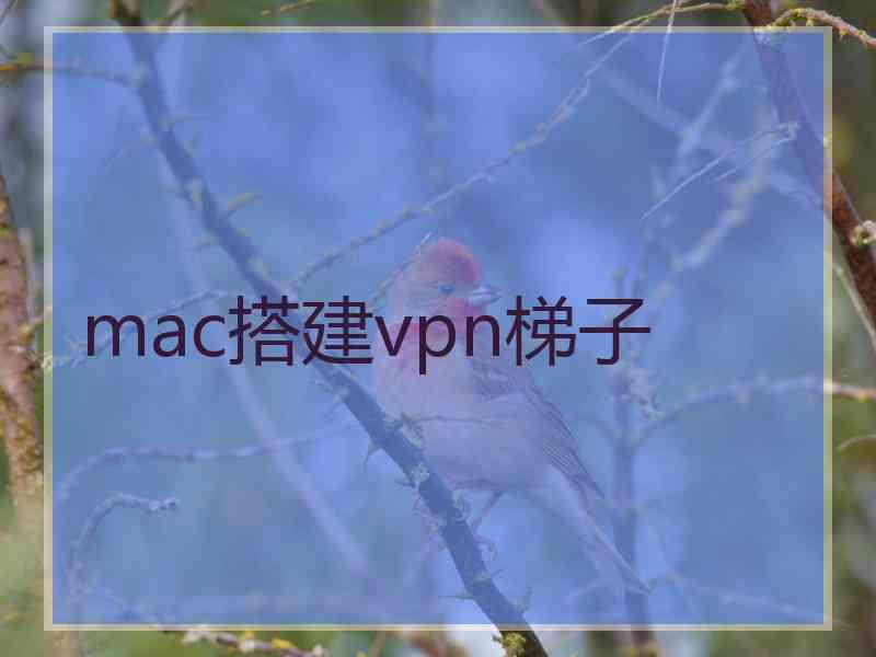 mac搭建vpn梯子