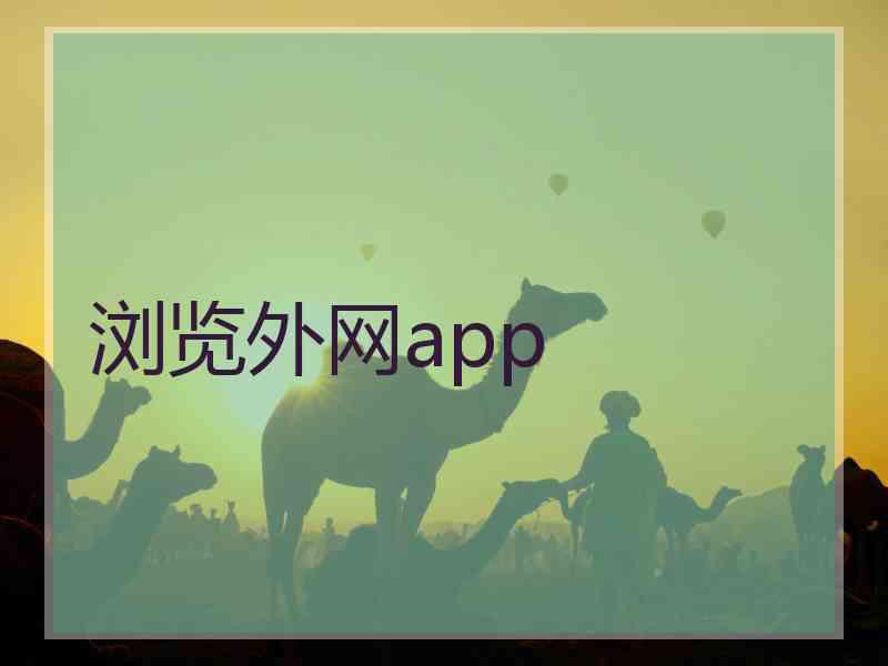 浏览外网app