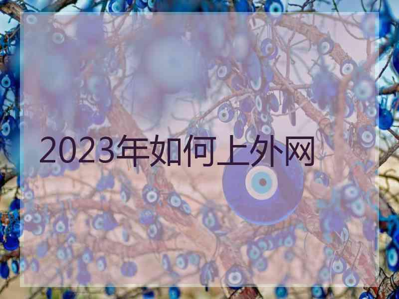 2023年如何上外网