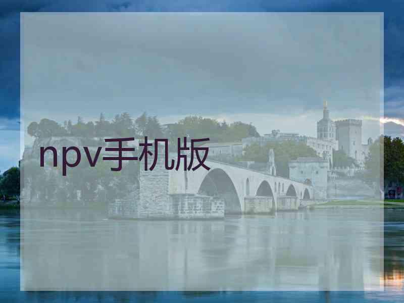 npv手机版